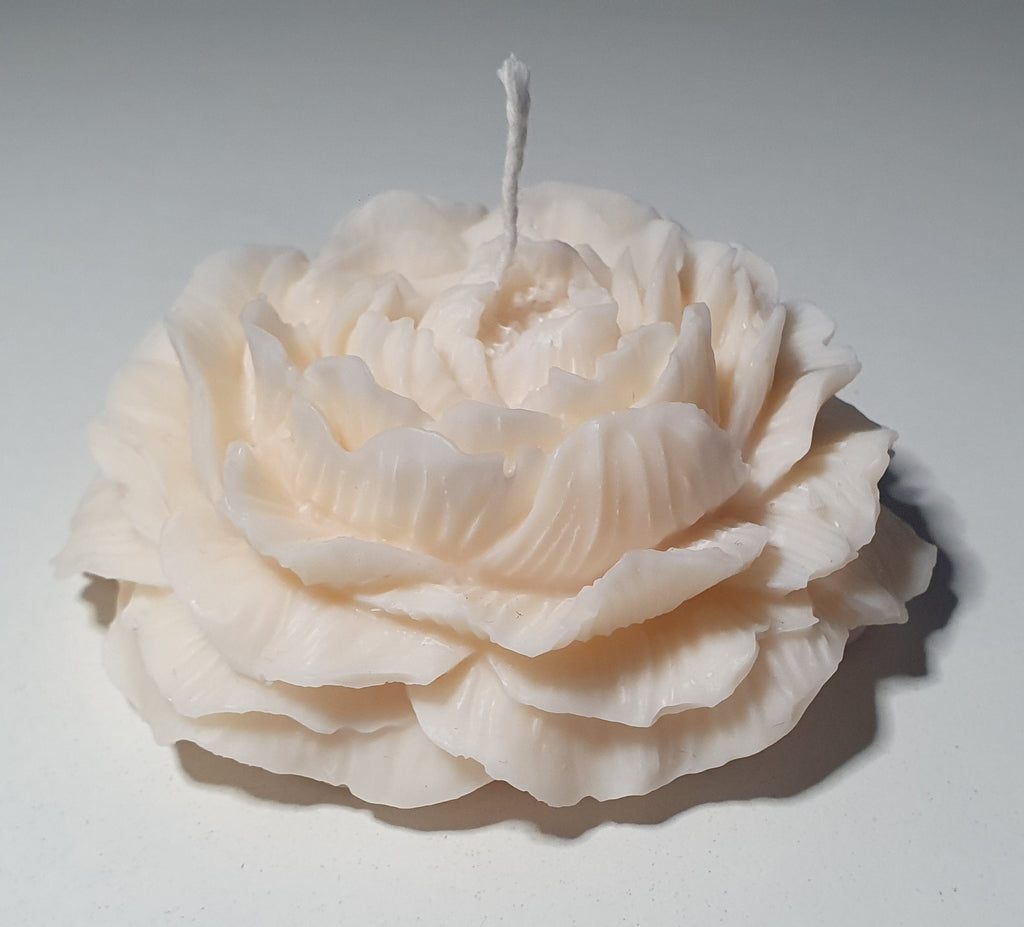Świeca peonia